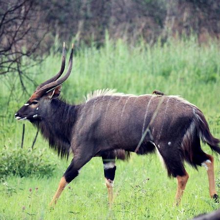 Ouklip Game Lodge Klipdrift Buitenkant foto