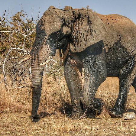 Ouklip Game Lodge Klipdrift Buitenkant foto