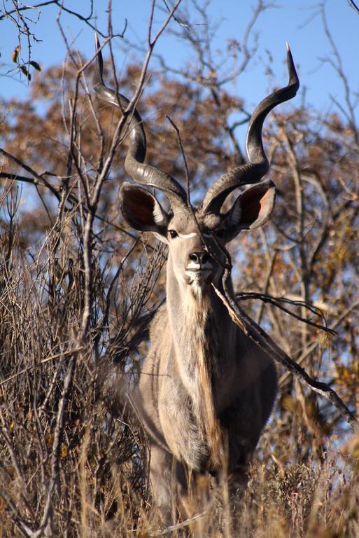 Ouklip Game Lodge Klipdrift Buitenkant foto