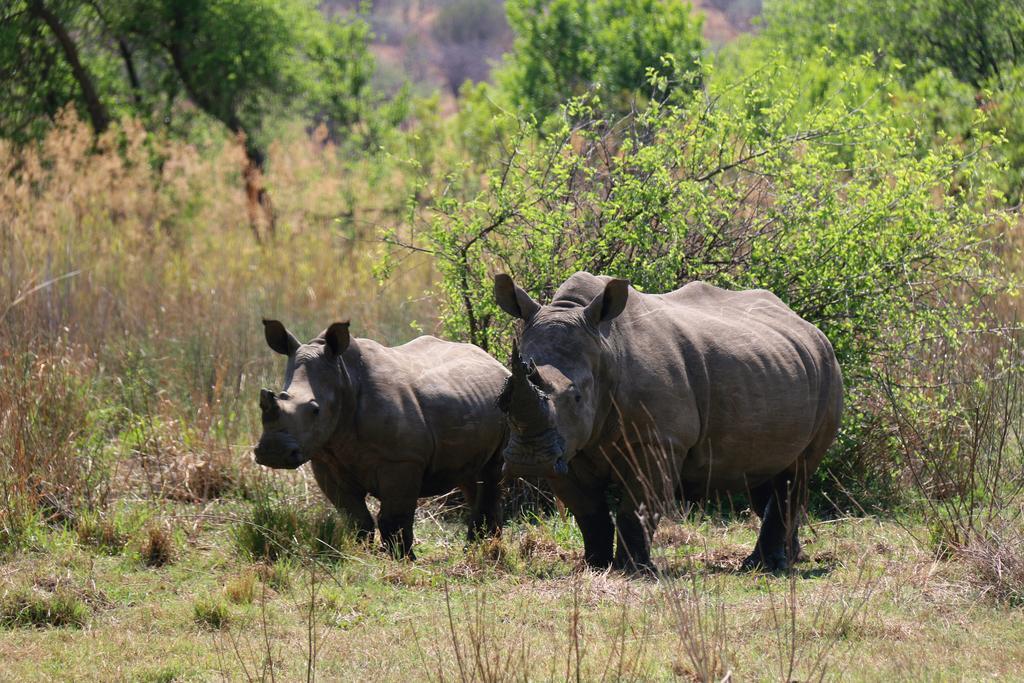 Ouklip Game Lodge Klipdrift Buitenkant foto