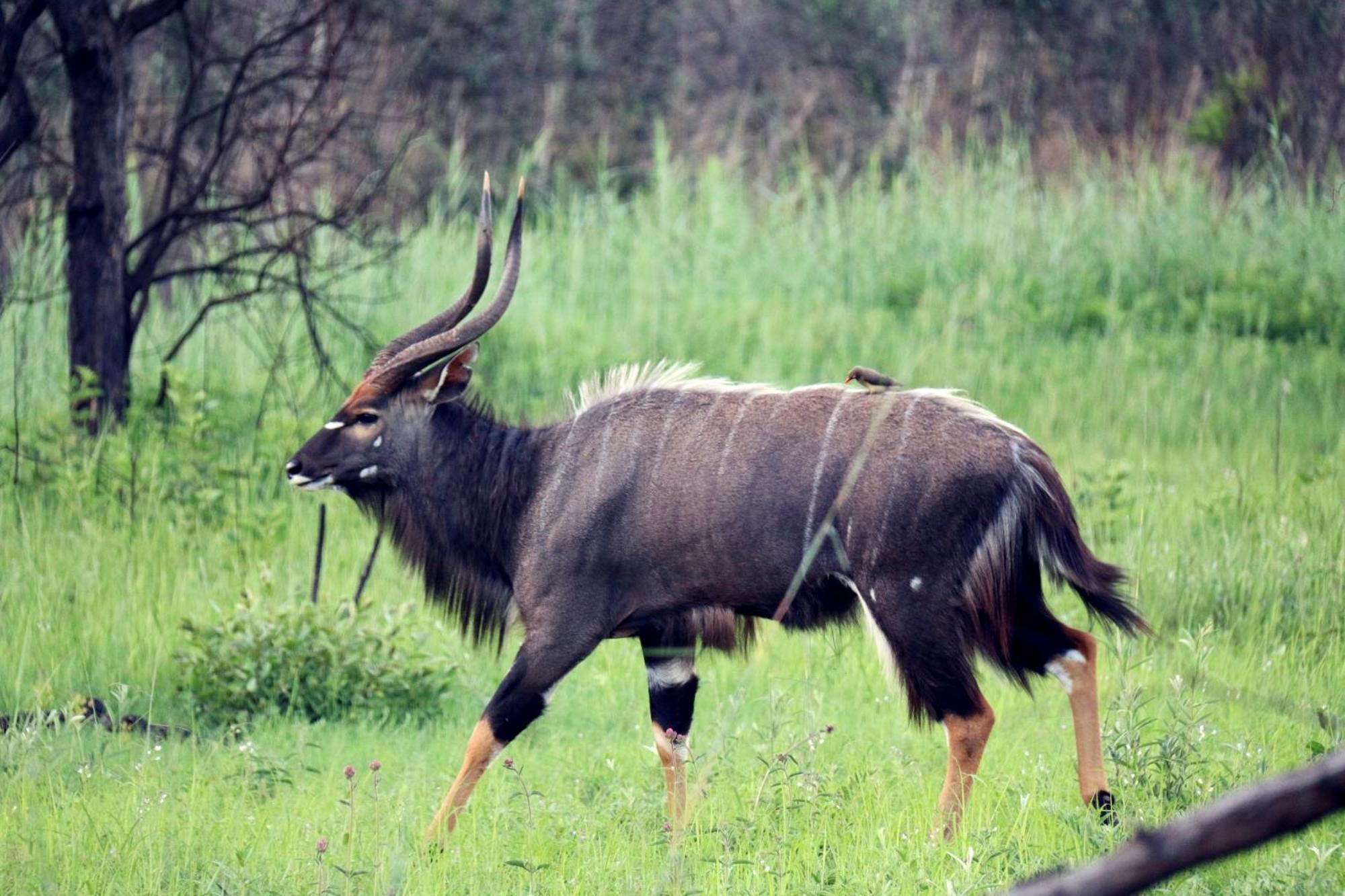 Ouklip Game Lodge Klipdrift Buitenkant foto