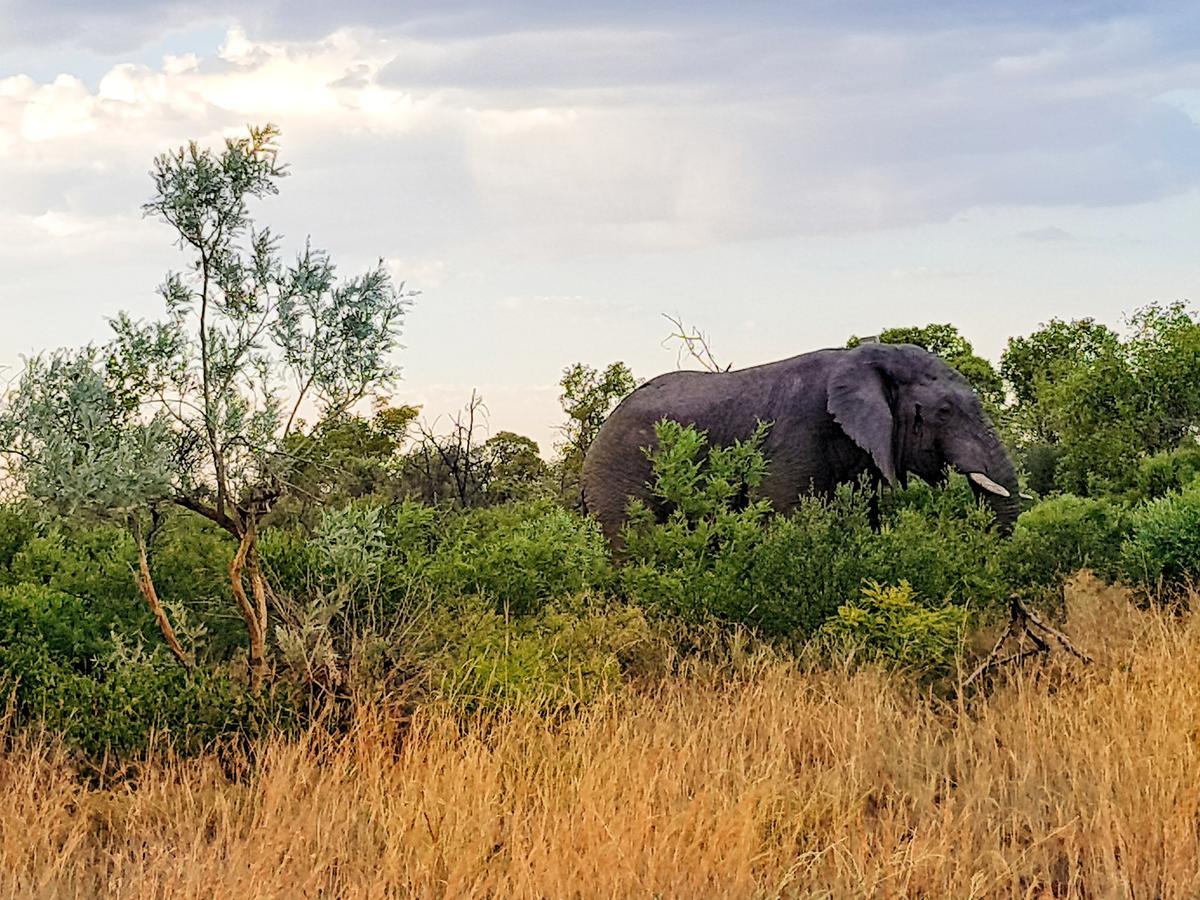 Ouklip Game Lodge Klipdrift Buitenkant foto