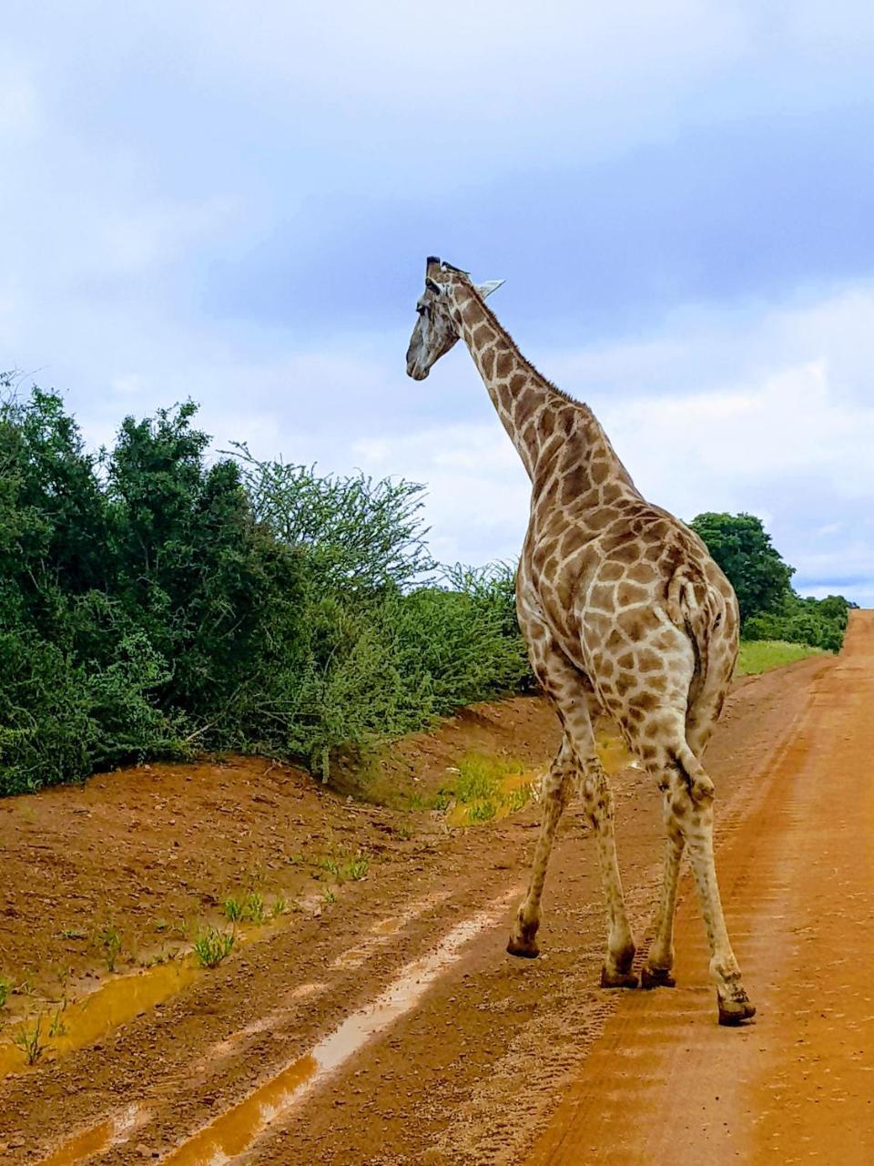 Ouklip Game Lodge Klipdrift Buitenkant foto